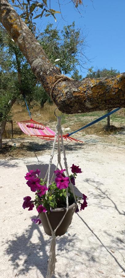 Lily Home_Lefkada ~ Private Country House Kondaraíni Εξωτερικό φωτογραφία