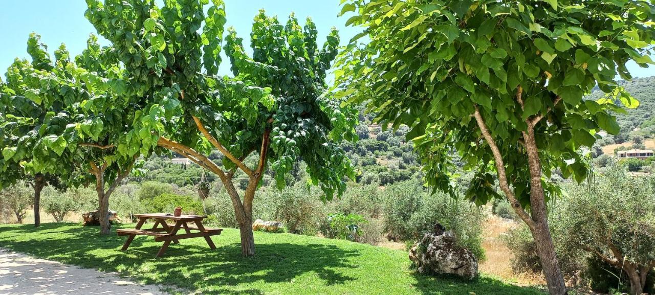 Lily Home_Lefkada ~ Private Country House Kondaraíni Εξωτερικό φωτογραφία