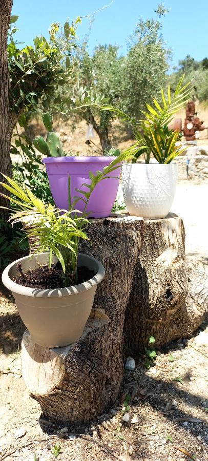 Lily Home_Lefkada ~ Private Country House Kondaraíni Εξωτερικό φωτογραφία