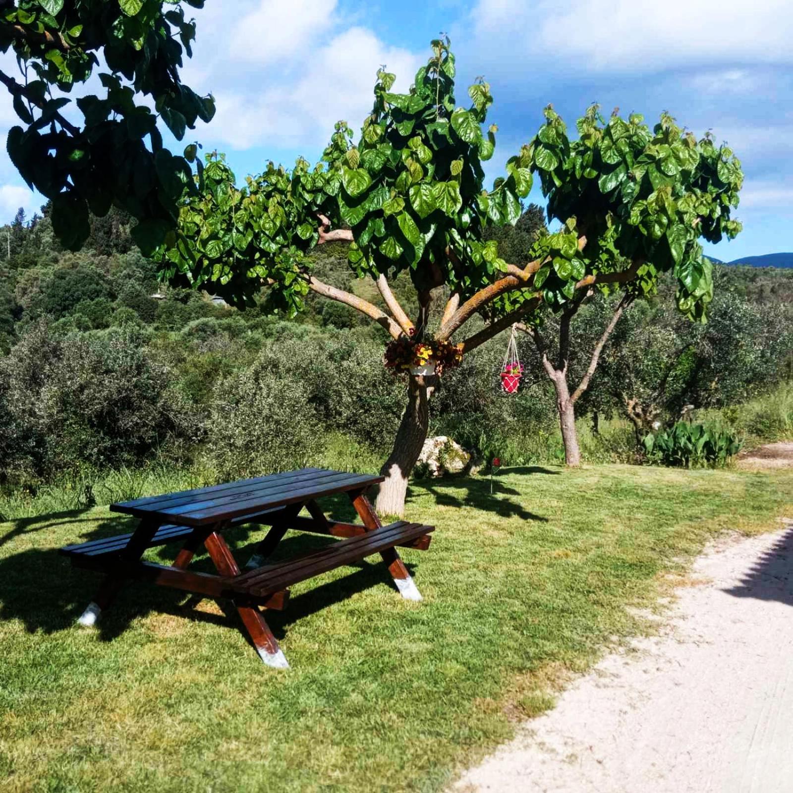 Lily Home_Lefkada ~ Private Country House Kondaraíni Εξωτερικό φωτογραφία