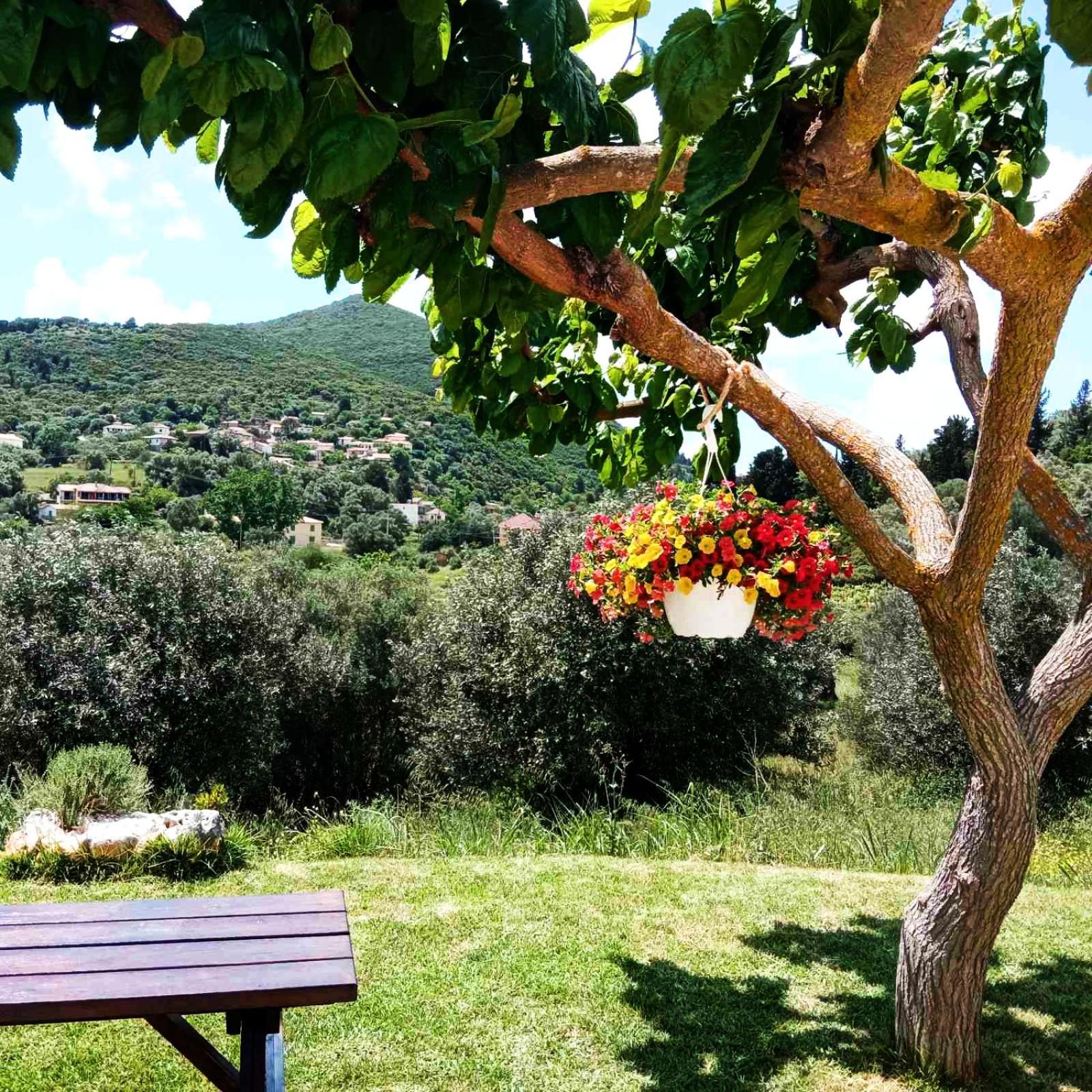 Lily Home_Lefkada ~ Private Country House Kondaraíni Εξωτερικό φωτογραφία