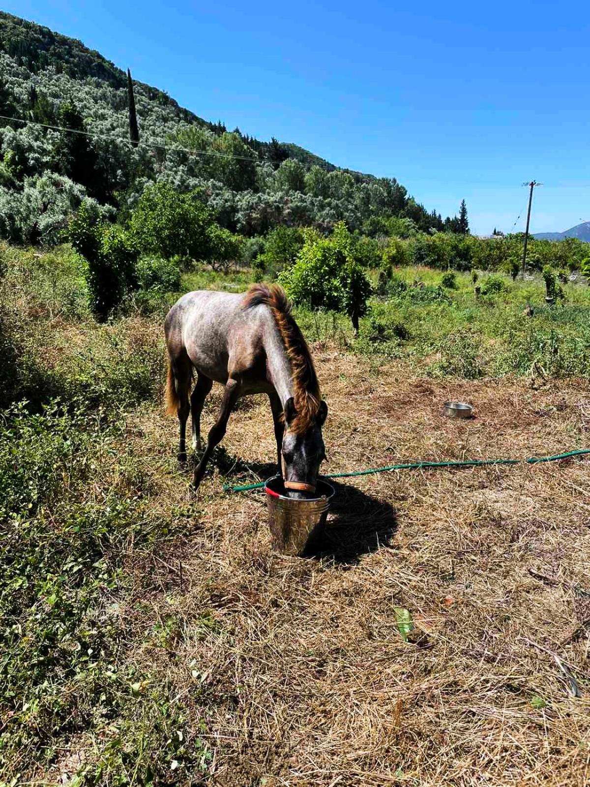 Lily Home_Lefkada ~ Private Country House Kondaraíni Εξωτερικό φωτογραφία